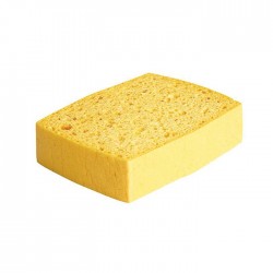 Eponge bordée N°4